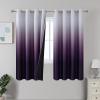 Purple and Greyish White