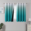 Teal and Greyish White